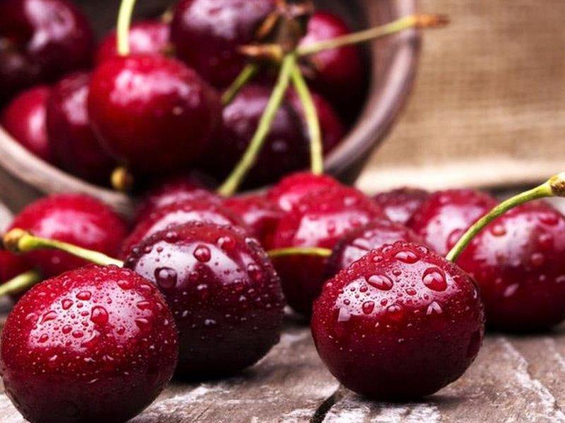 Вишня купить саженцы из питомника в Губкине